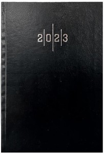 Liz Ajanda 2025 17x24 Ekonomik Çizgili 