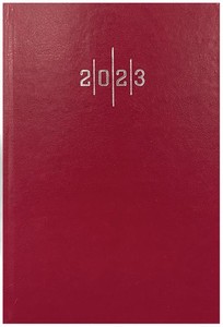  Liz Ajanda 2025 17x24 Ekonomik Çizgili 