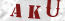 Güvenlik Resmi