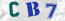 Güvenlik Resmi