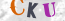 Güvenlik Resmi
