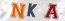 Güvenlik Resmi