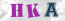Güvenlik Resmi